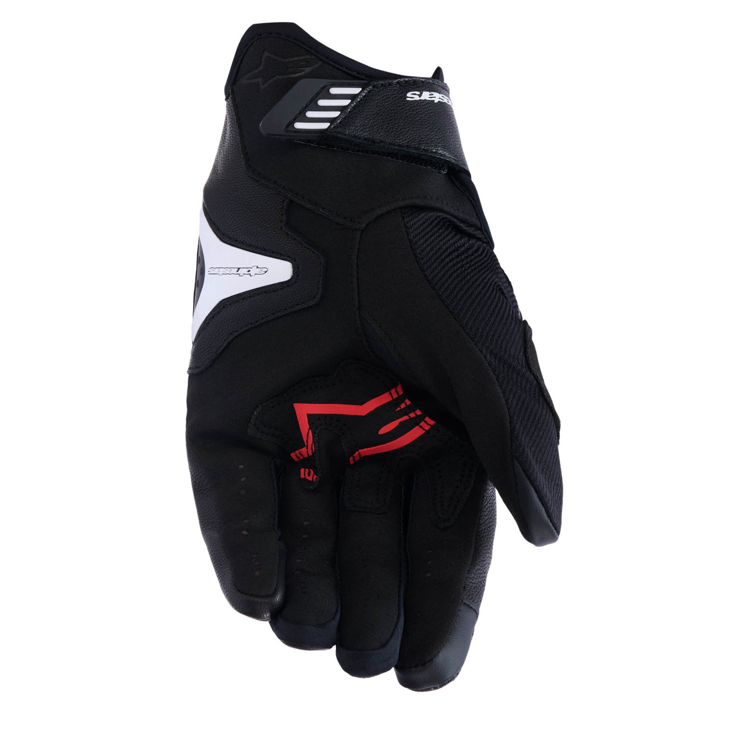 1304 BLACK WHITE BRIGHT RED